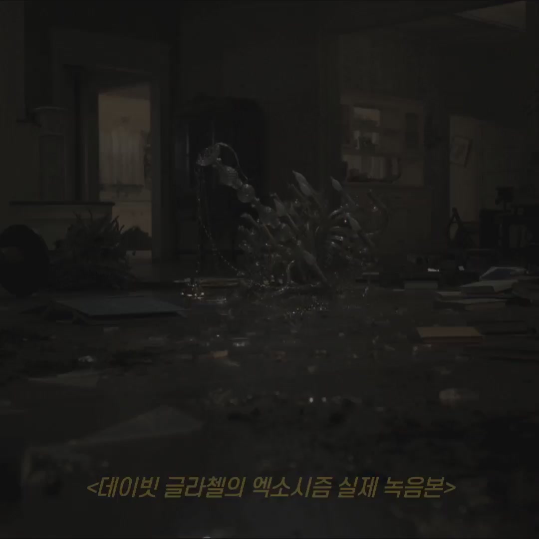 컨저링3: 악마가 시켰다[기타]