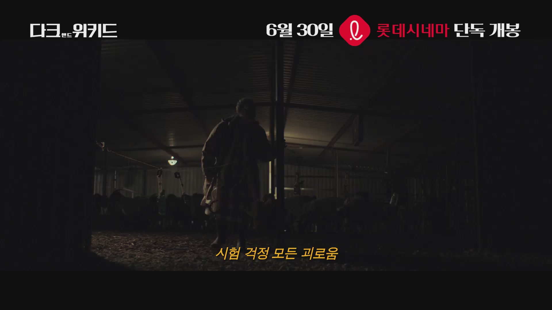 다크 앤드 위키드[기타]