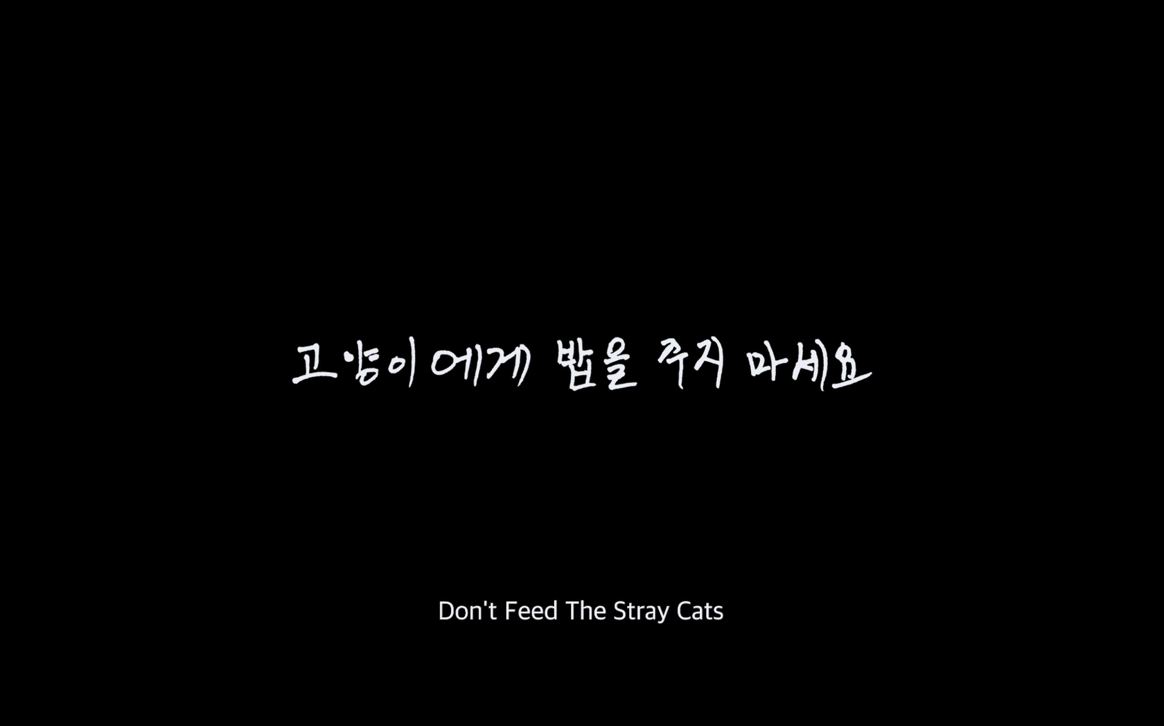고양이에게 밥을 주지 마세요[엔딩크레딧]