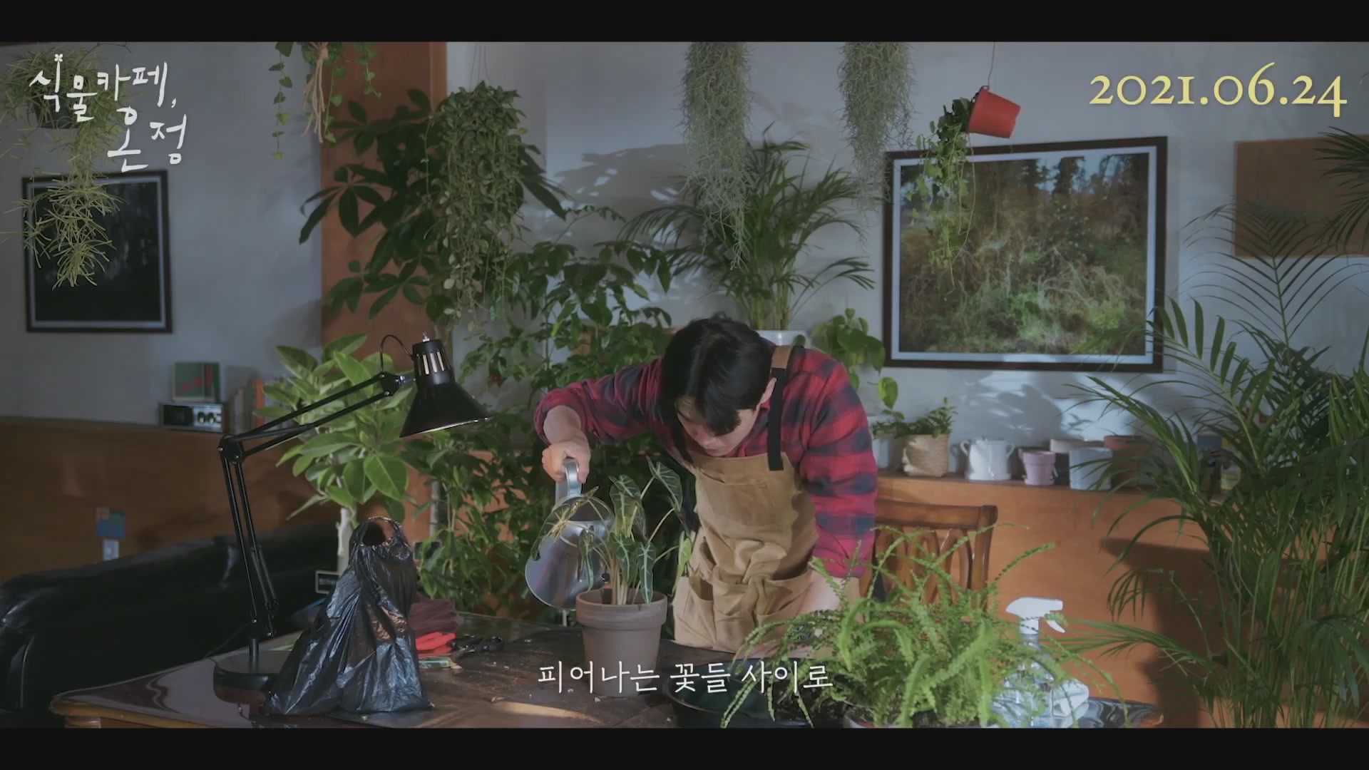 식물카페, 온정[뮤직비디오]