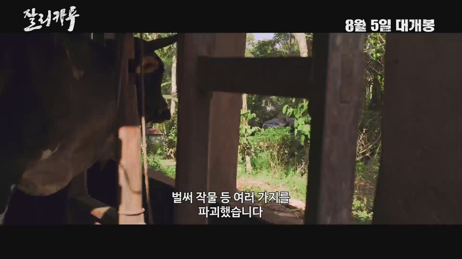 잘리카투[예고편]