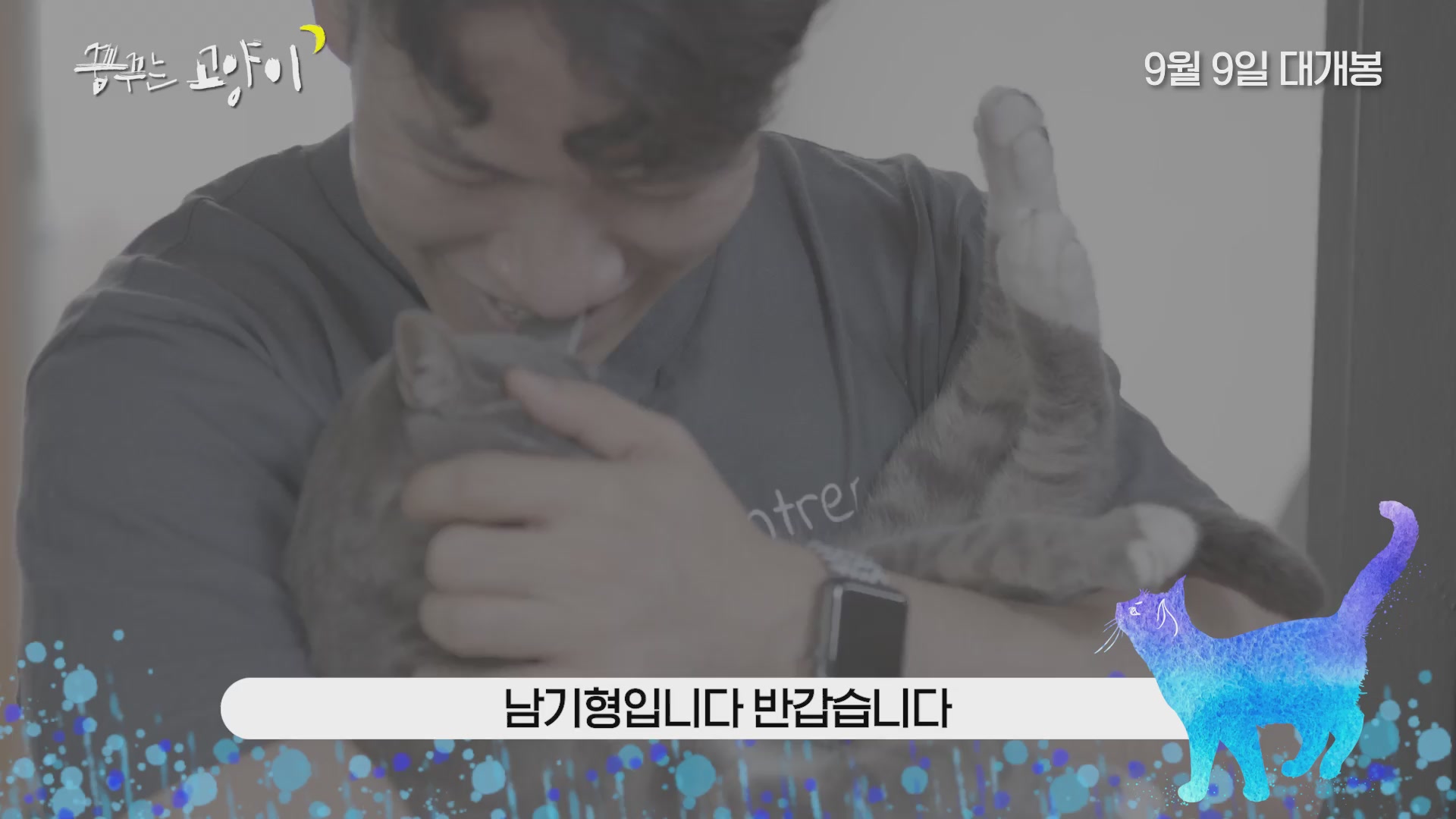 꿈꾸는 고양이[기타]