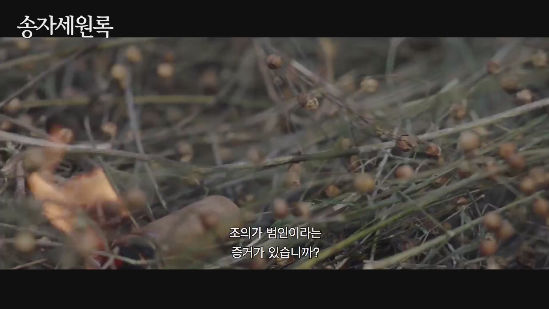 송자세원록[예고편]