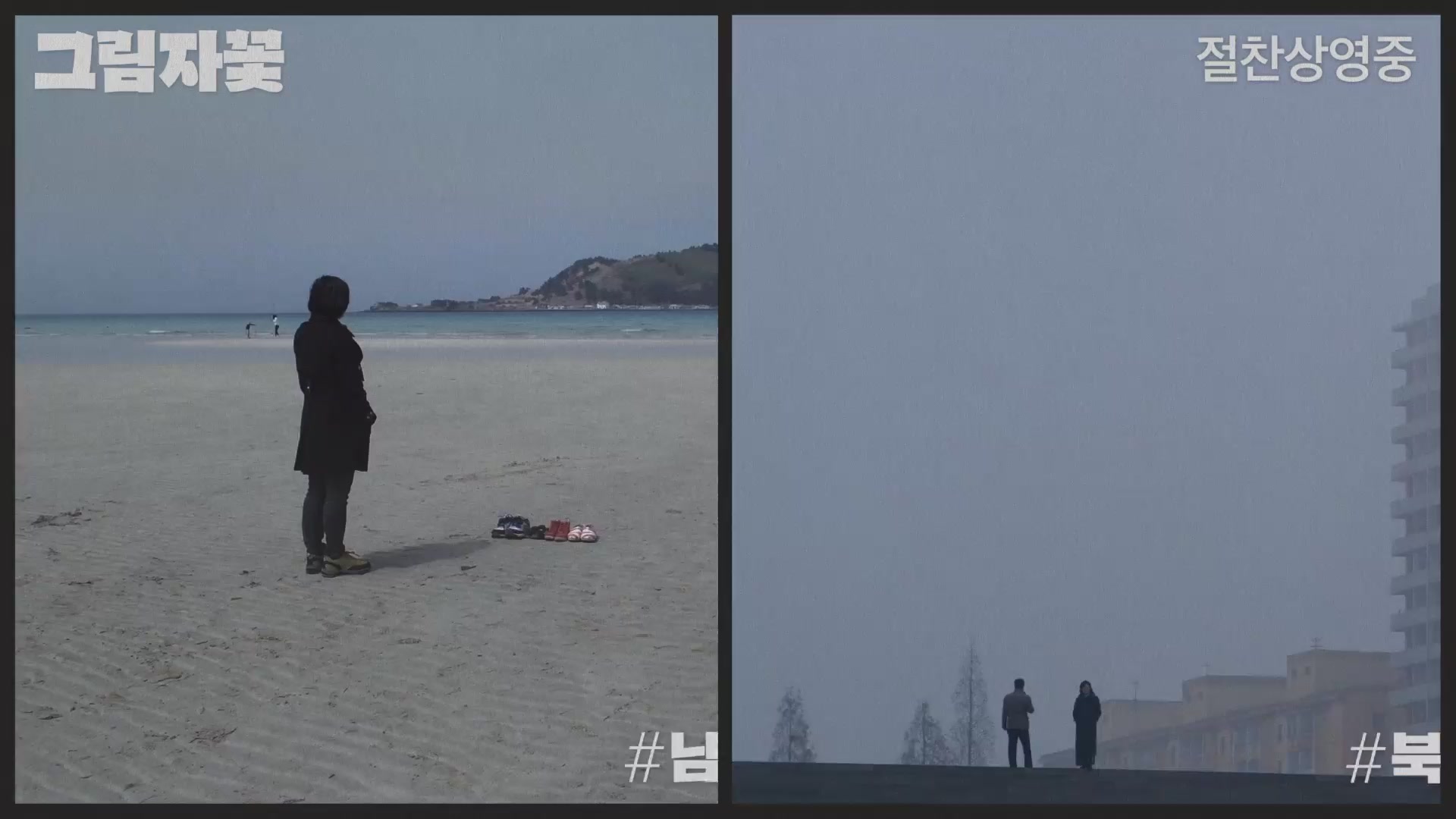그림자꽃[기타]