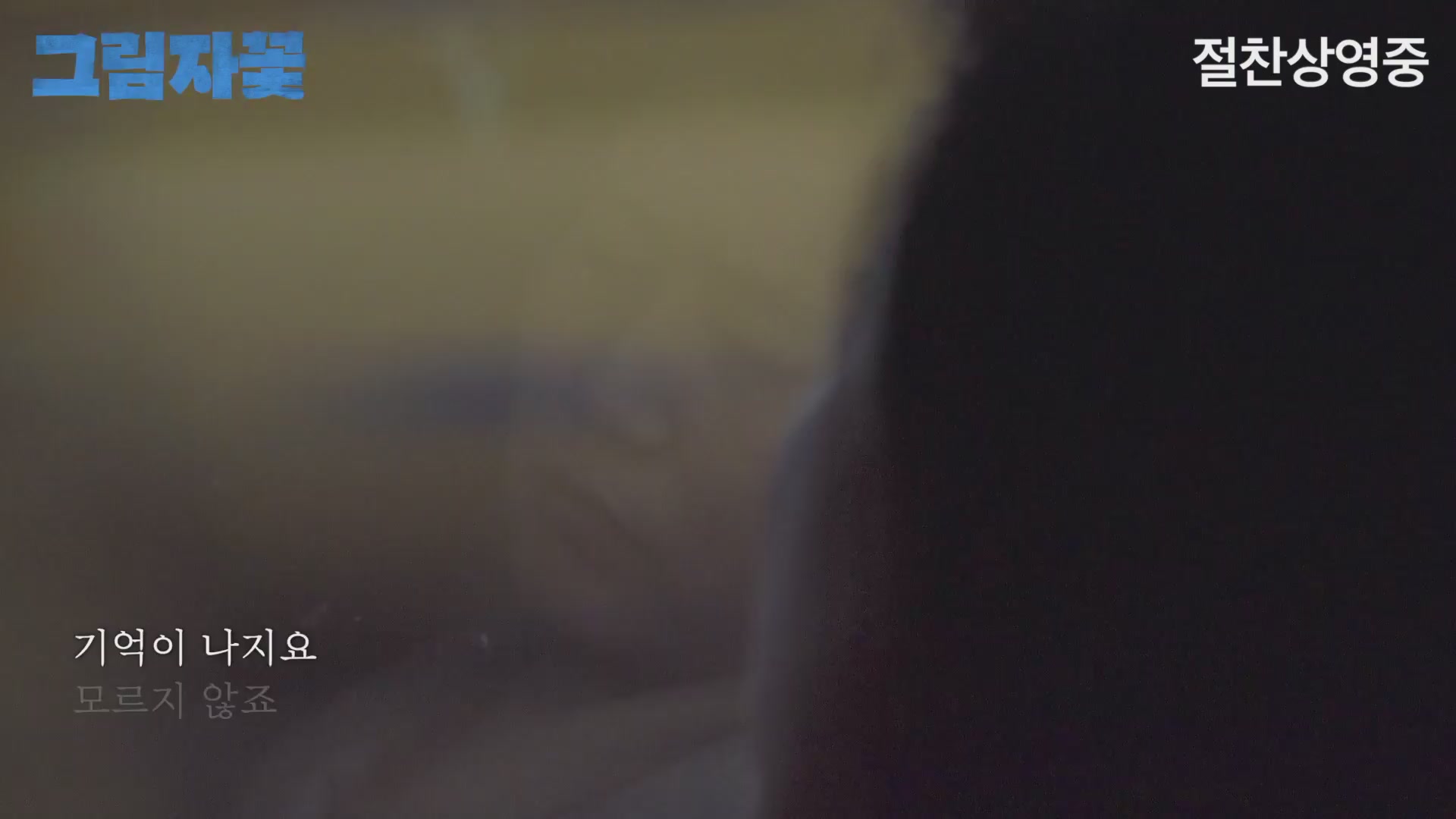 그림자꽃[뮤직비디오]