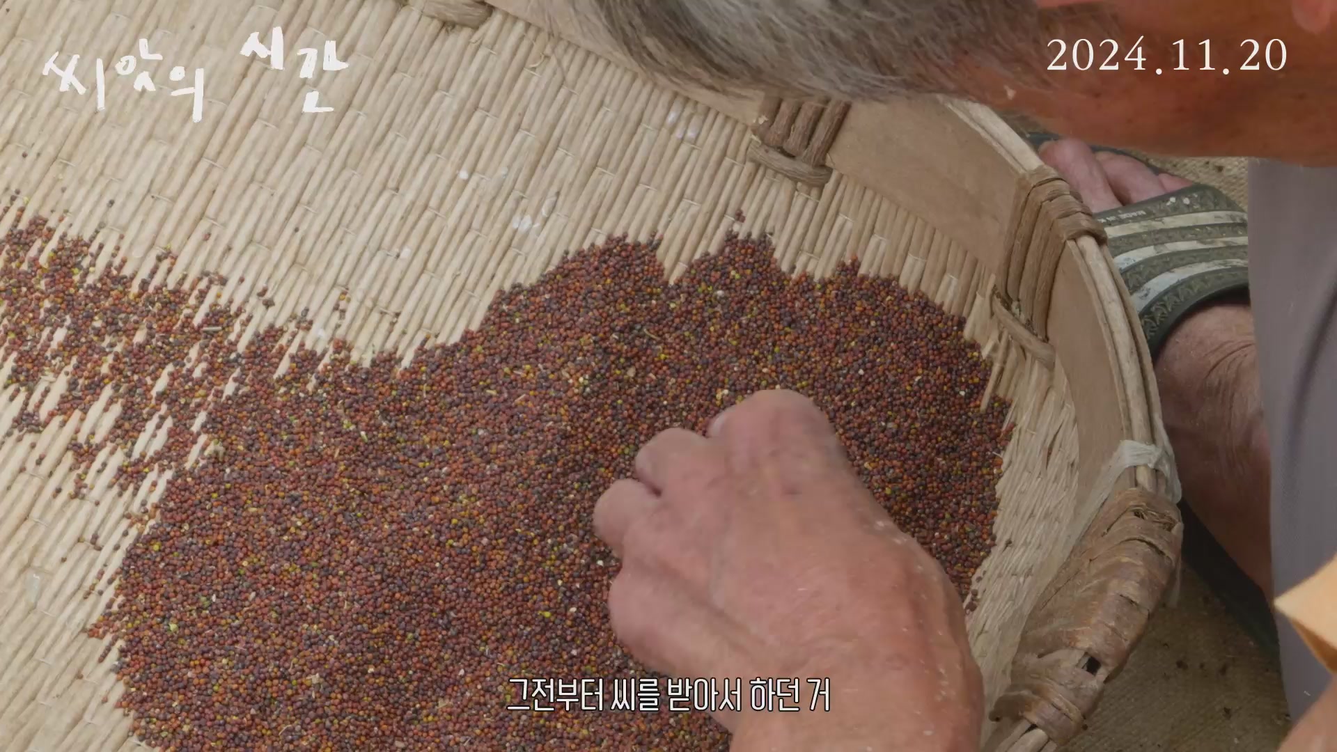 씨앗의 시간[예고편]