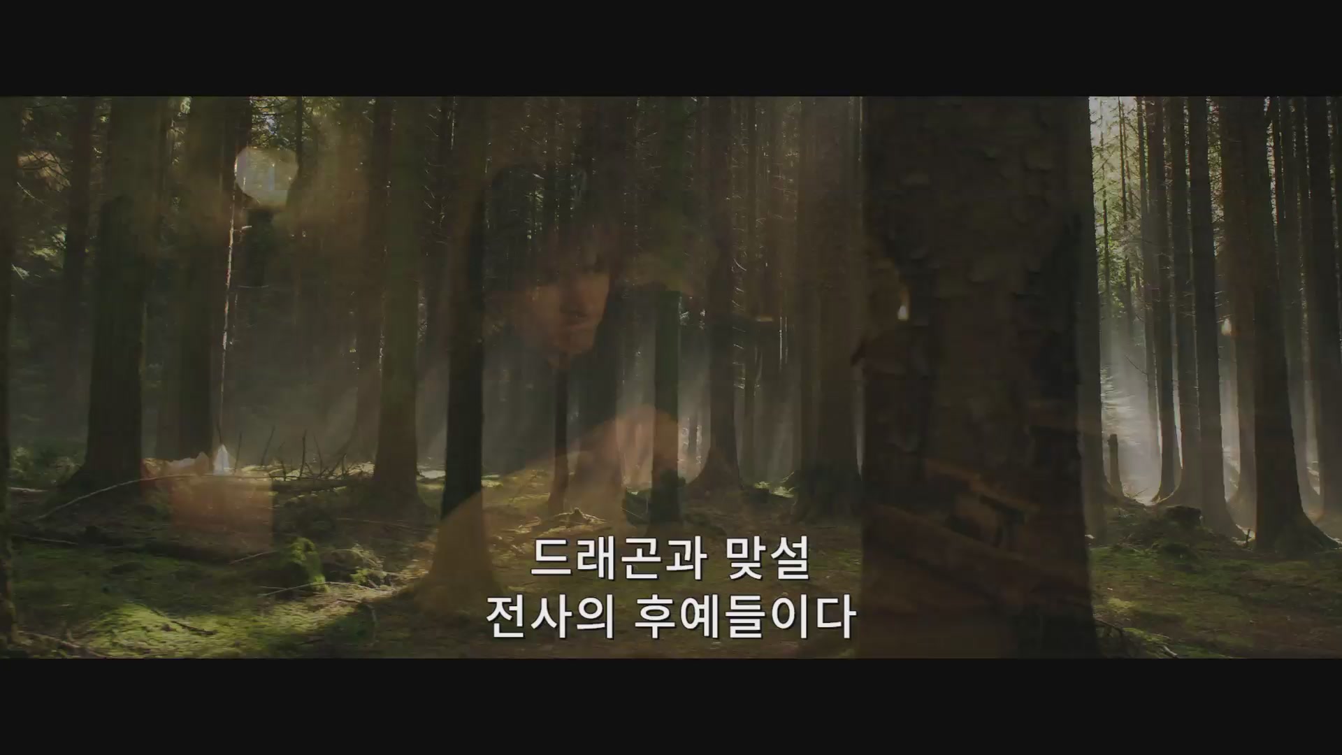 드래곤 길들이기[예고편]