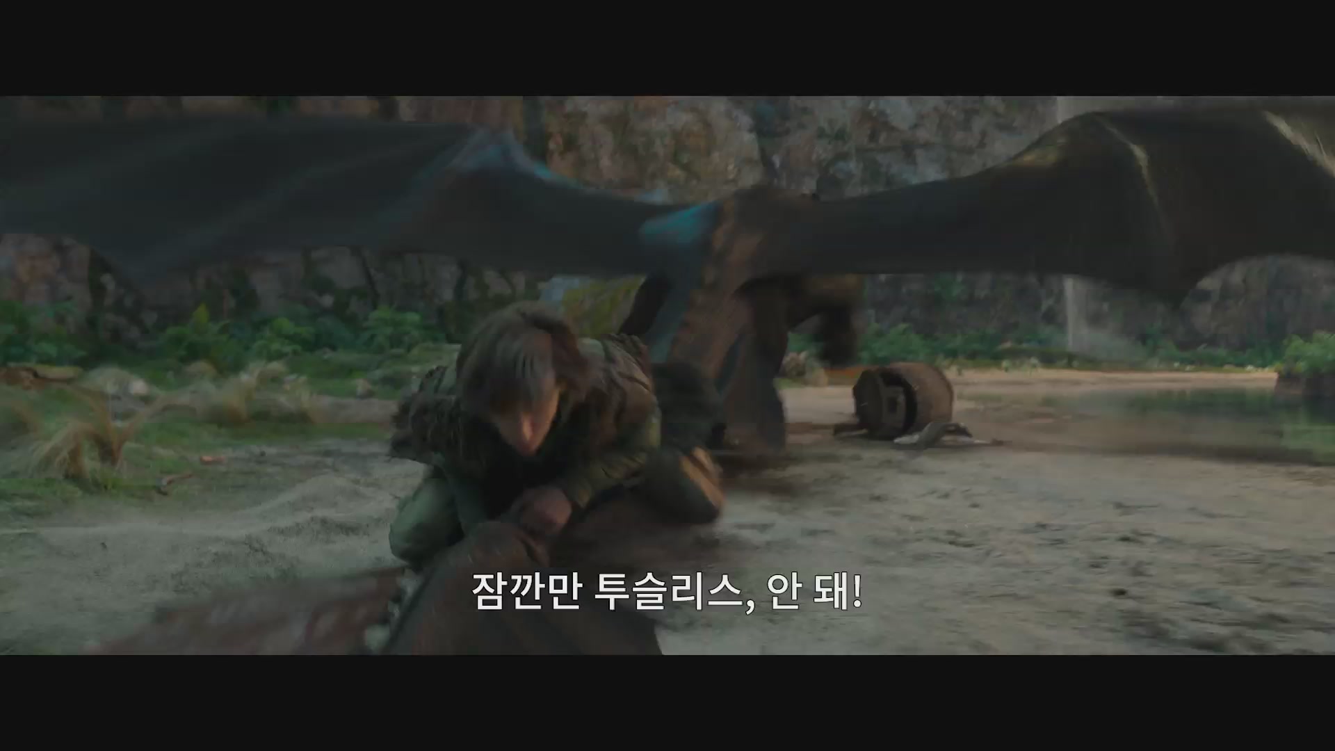 드래곤 길들이기[기타]