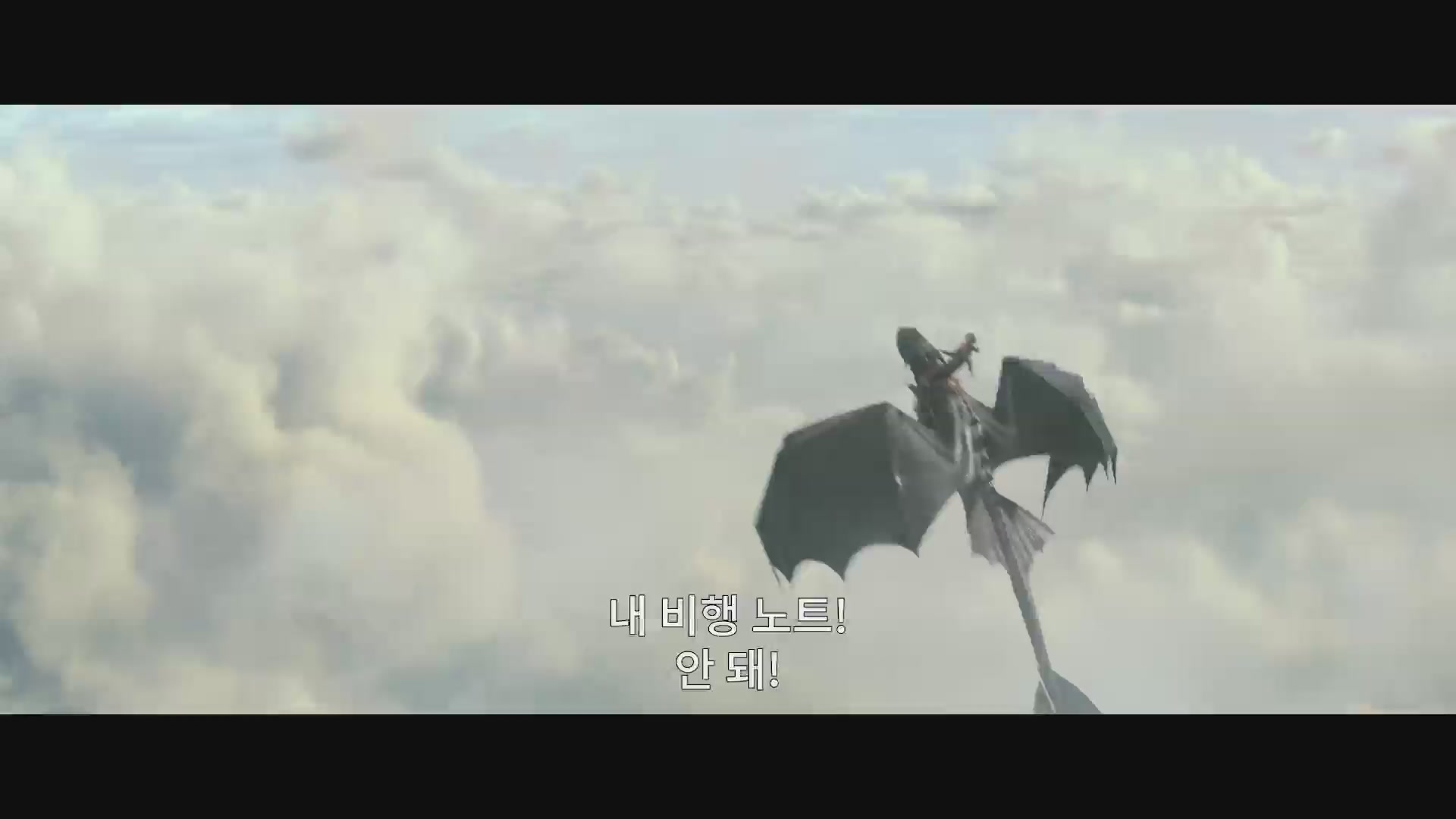 드래곤 길들이기[기타]