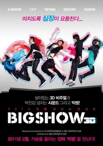 2010 빅뱅 라이브 콘서트 빅쇼 3D