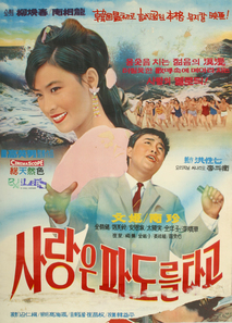 사랑은 파도를 타고