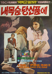 내 목숨 당신 품에