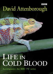 살아있는 파충류의 세계