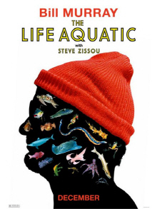 스티브 지소와의 해저생활