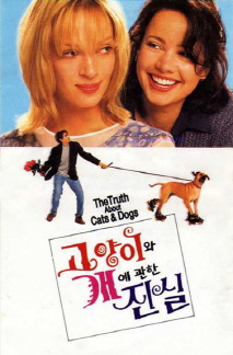 고양이와 개에 관한 진실