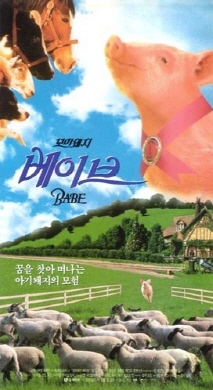 꼬마 돼지 베이브