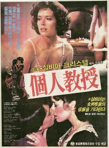 개인교수(個人敎授)