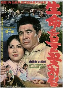 생명은 불꽃처럼