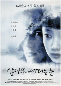 삼나무에 내리는 눈