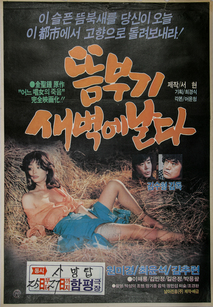 뜸부기 새벽에 날다