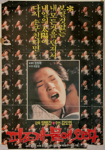 피조개 뭍에 오르다