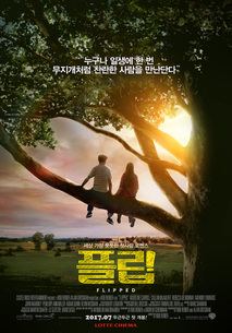 플립