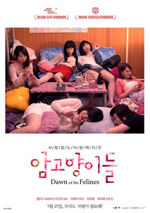 암고양이들