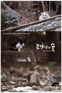 고양이의 숲