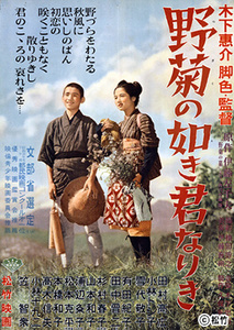 들국화 같은 그대였기에