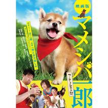 강아지 마메시바