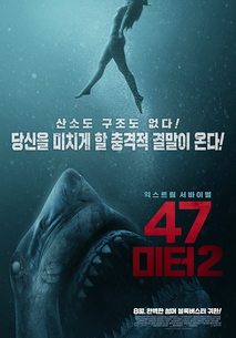 47미터 2
