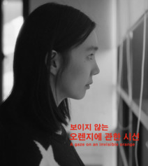 보이지 않는 오렌지에 관한 시선