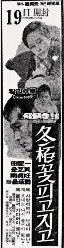 동백꽃 피고지고