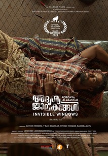 인비저블 윈도우즈