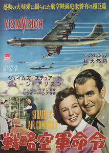 전략 공군 명령