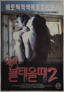 육체를 불태울 때 2