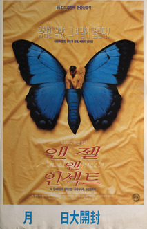 엔젤 앤 인섹트