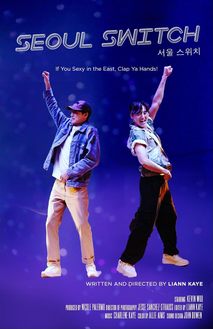 서울 스위치