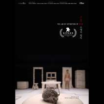 고통 소멸의 법칙