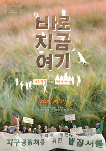 바로 지금 여기