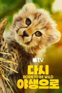 다시, 야생으로