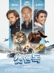 캣 앤 독