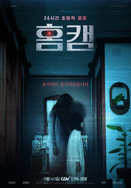홈캠 포스터 1