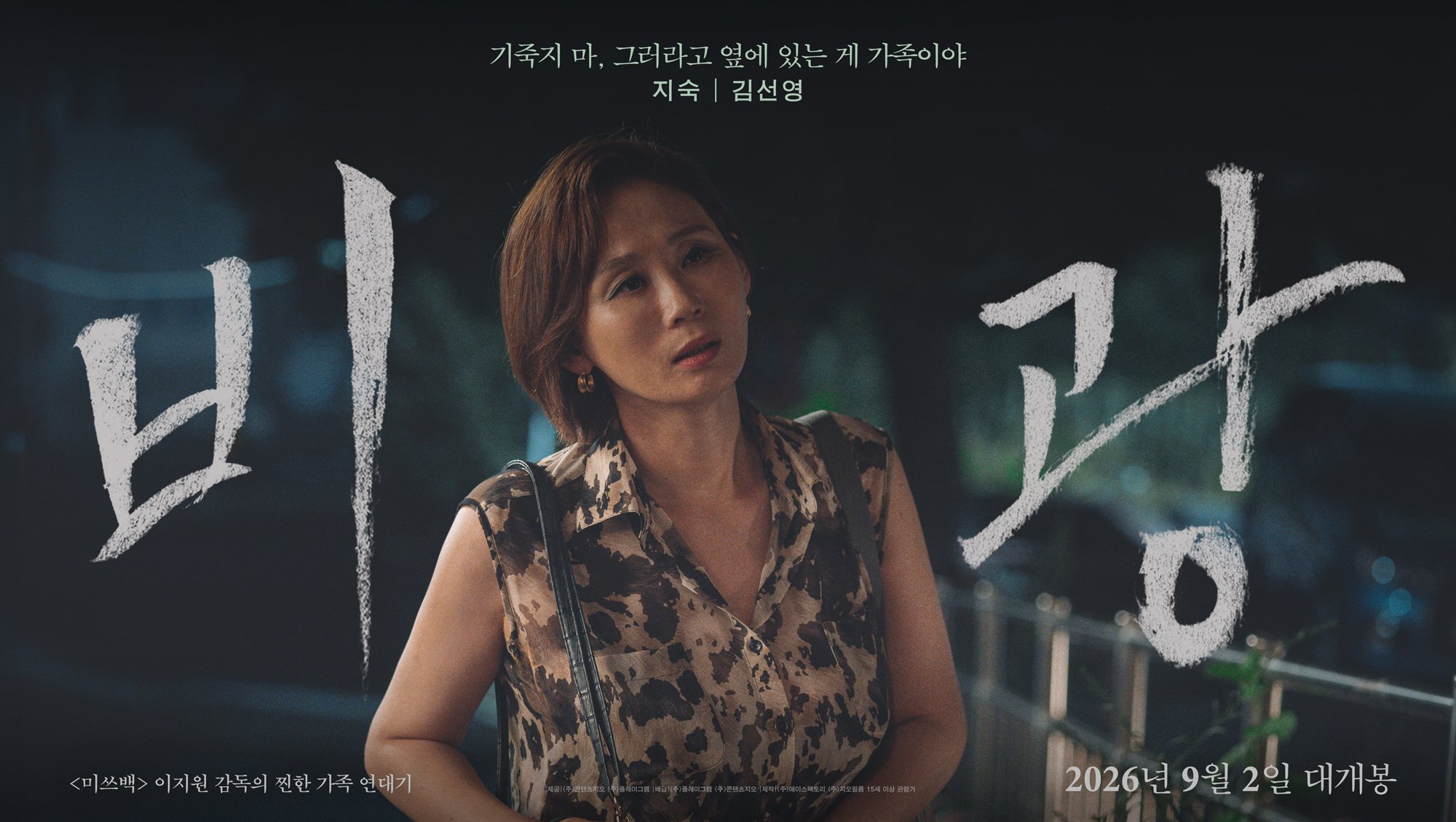 비광 포스터 5
