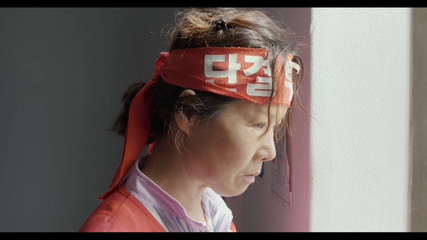 갈매기 스틸 5