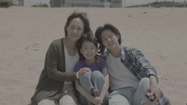 담쟁이 스틸 1