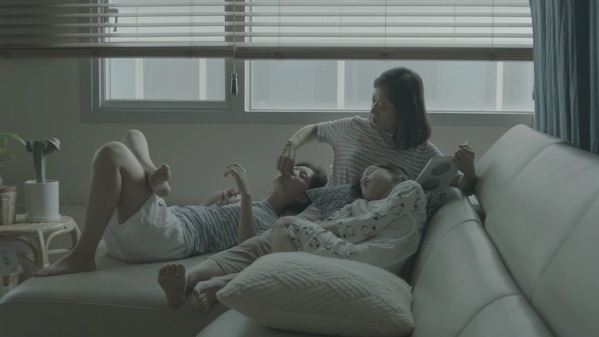 담쟁이 스틸 3
