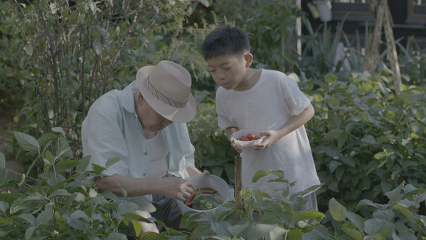 남매의 여름밤 스틸 8