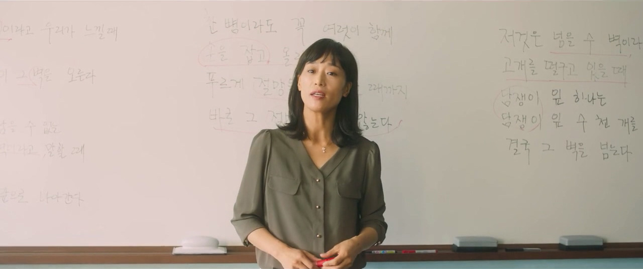 담쟁이 스틸 5
