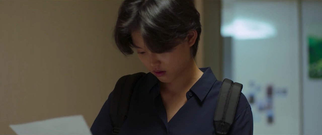 담쟁이 스틸 9